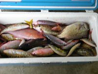 20061108 423.jpg